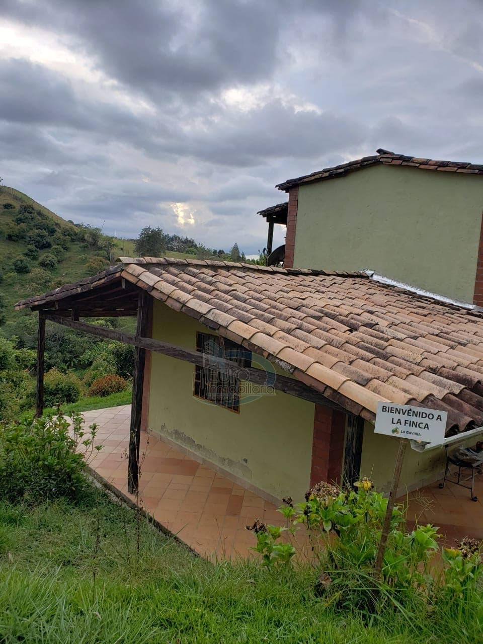 Finca aguacatera Vereda Gaviria- Marinilla 