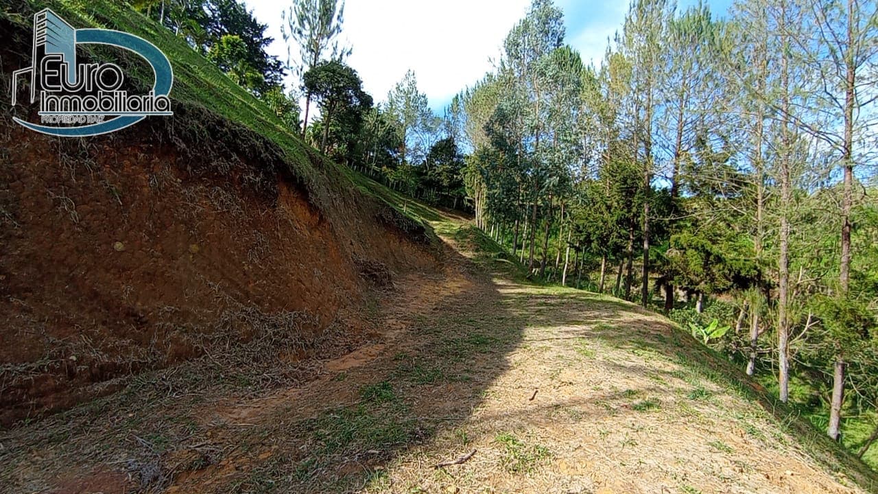Lote en San Vicente 