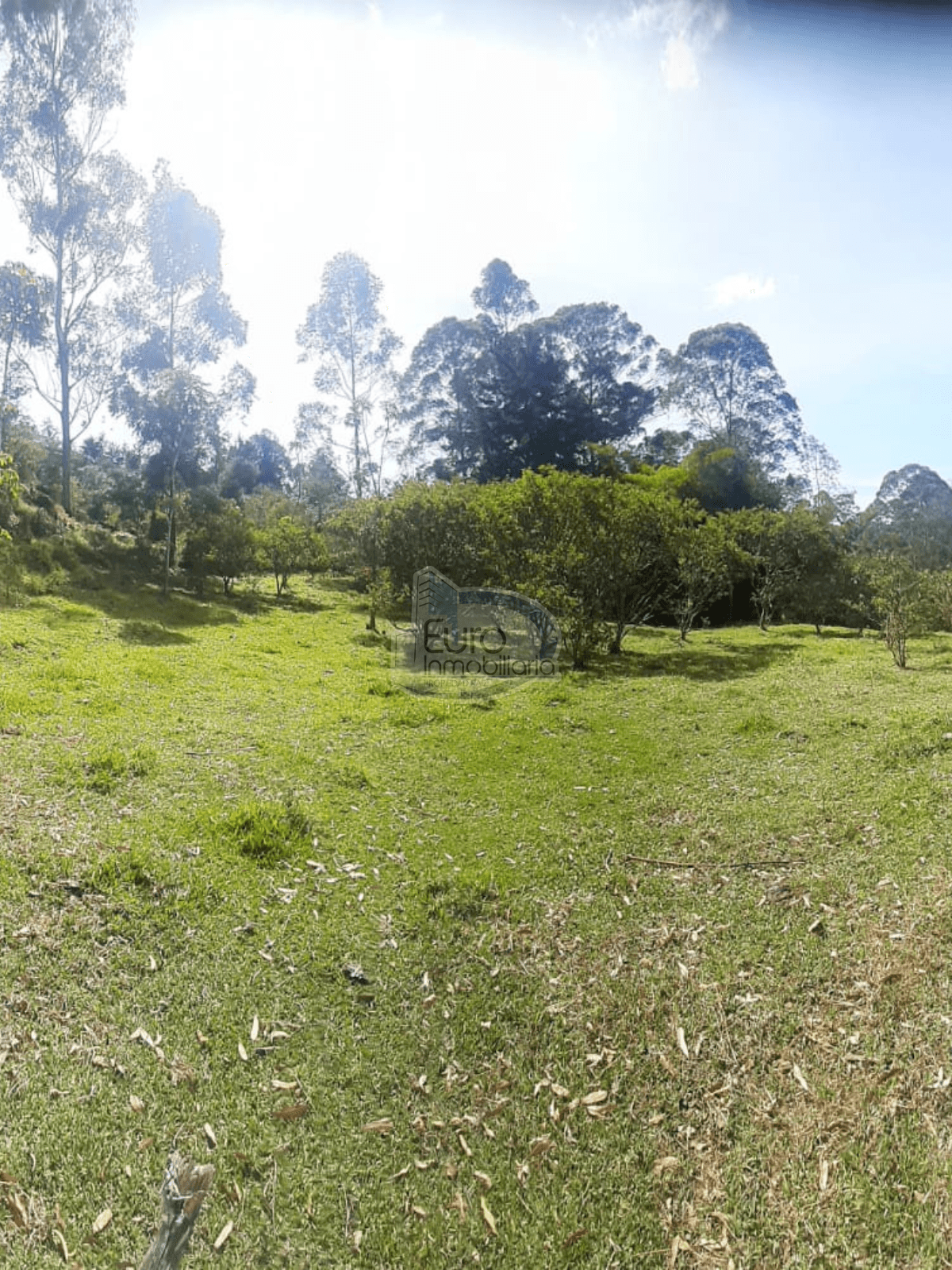 Lote vereda el rosario 