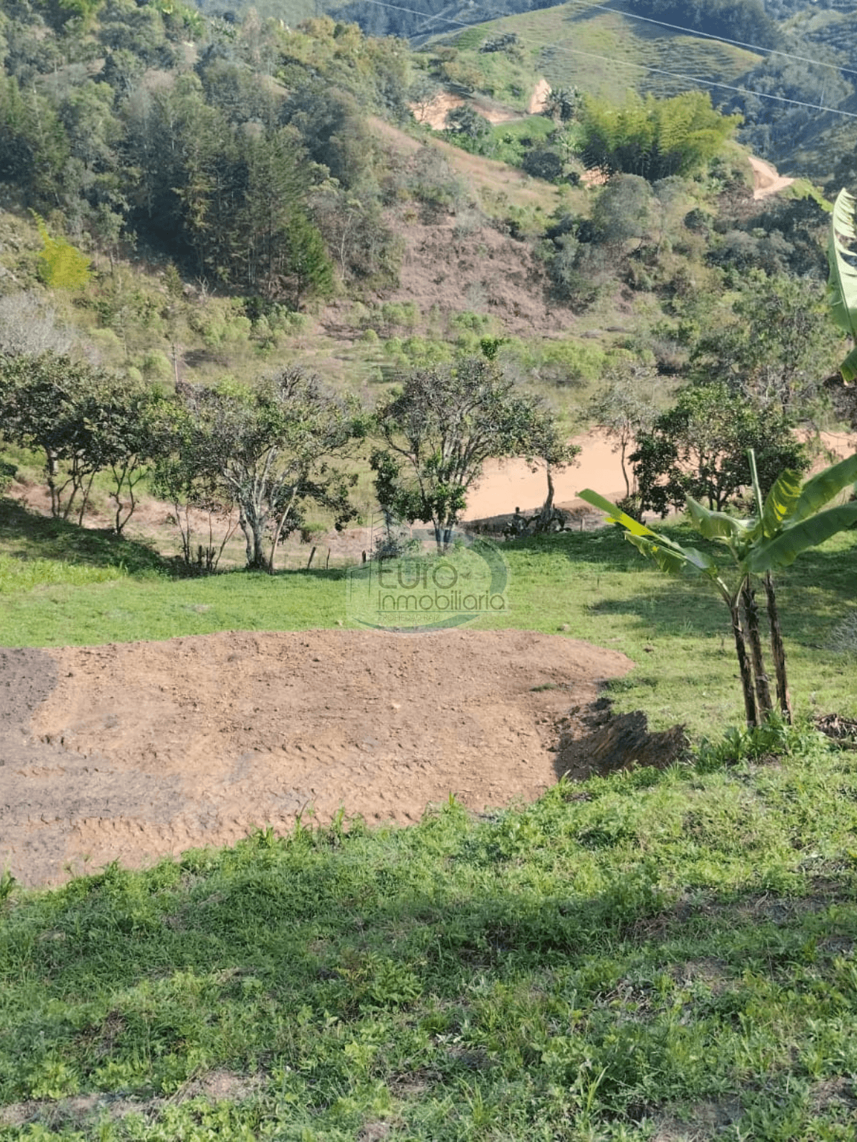 Lote vereda la porquera San Vicente 
