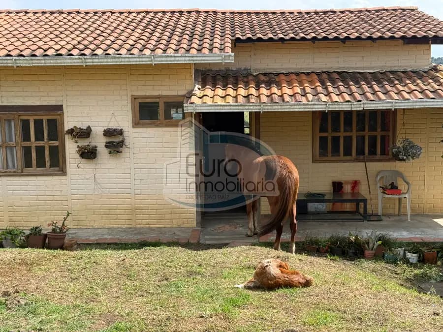 VENTA DE HERMOSA FINCA VEREDA MONTAÑITA