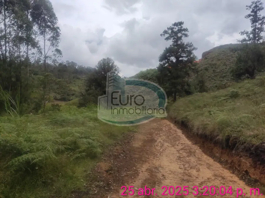 SE VENDEN LOTES DE 1.000M2 EN VEREDA SALTO ARRIBA EN PROINDIVISO